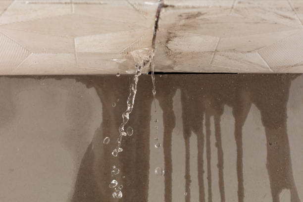 Professional Water Damage Repair technician working in Fountain, CO